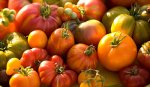 heirloomtomatoes_1994_general