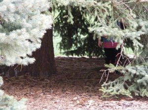 a great place to hide from the rain