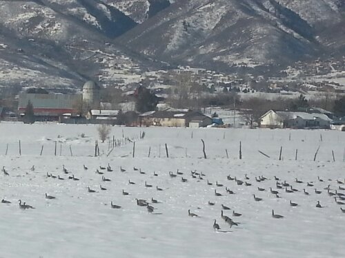 20140118_105119.jpg image